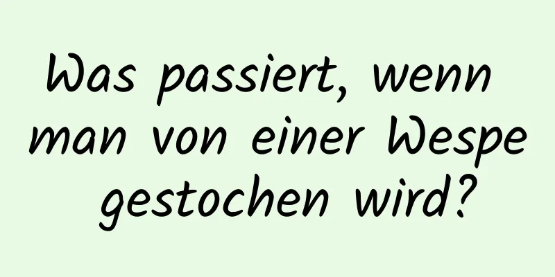 Was passiert, wenn man von einer Wespe gestochen wird?