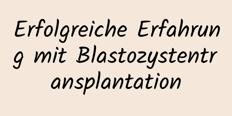 Erfolgreiche Erfahrung mit Blastozystentransplantation