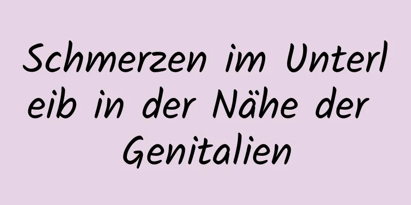 Schmerzen im Unterleib in der Nähe der Genitalien