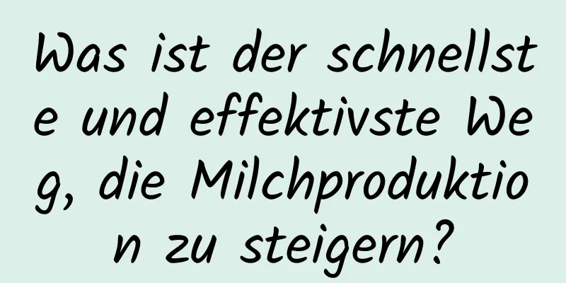 Was ist der schnellste und effektivste Weg, die Milchproduktion zu steigern?