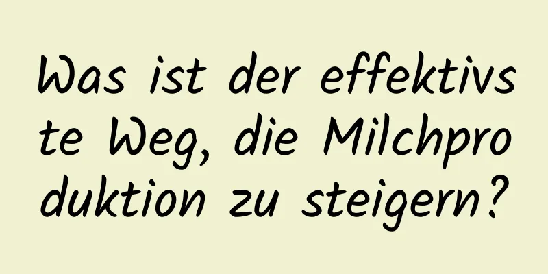 Was ist der effektivste Weg, die Milchproduktion zu steigern?