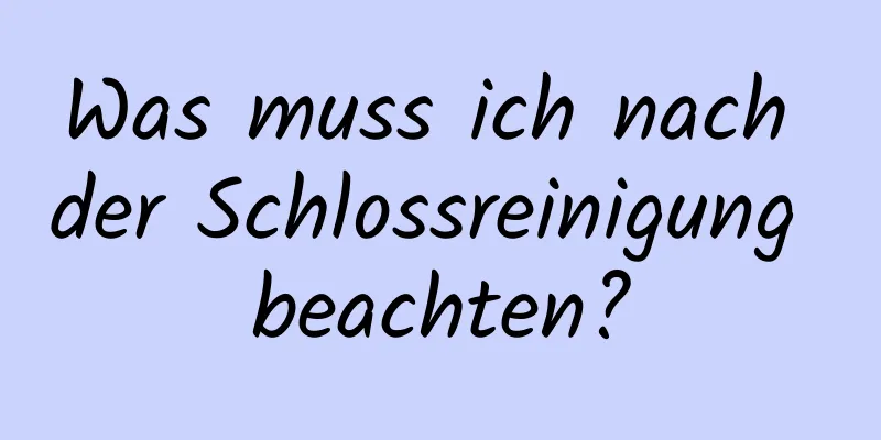 Was muss ich nach der Schlossreinigung beachten?