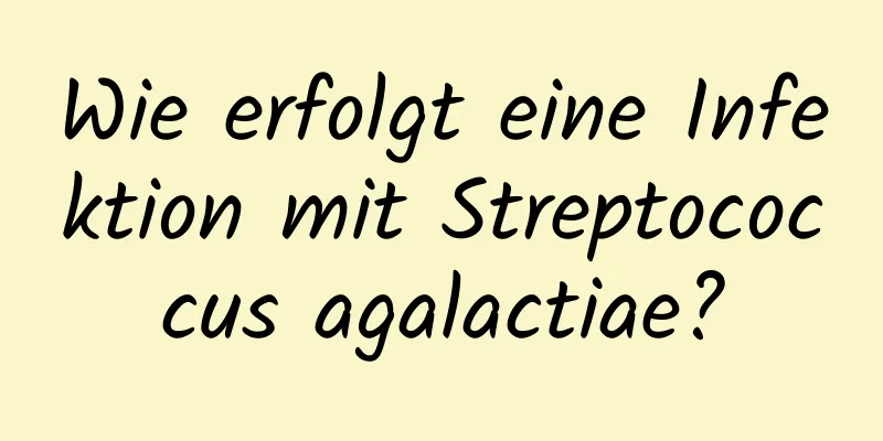 Wie erfolgt eine Infektion mit Streptococcus agalactiae?