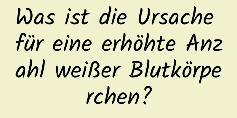 Was ist die Ursache für eine erhöhte Anzahl weißer Blutkörperchen?