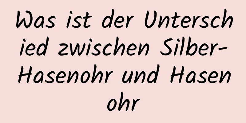 Was ist der Unterschied zwischen Silber-Hasenohr und Hasenohr