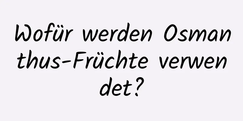 Wofür werden Osmanthus-Früchte verwendet?