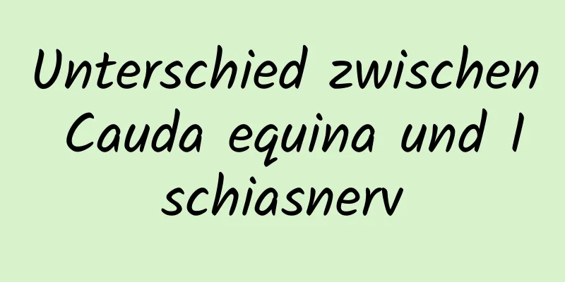 Unterschied zwischen Cauda equina und Ischiasnerv