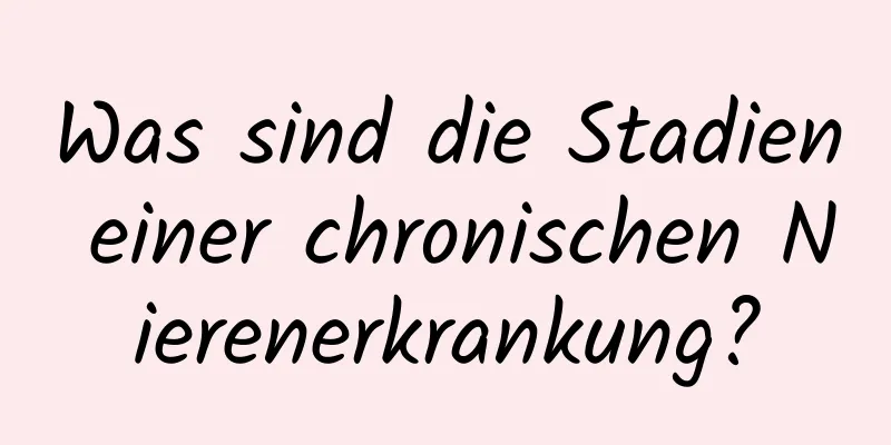 Was sind die Stadien einer chronischen Nierenerkrankung?