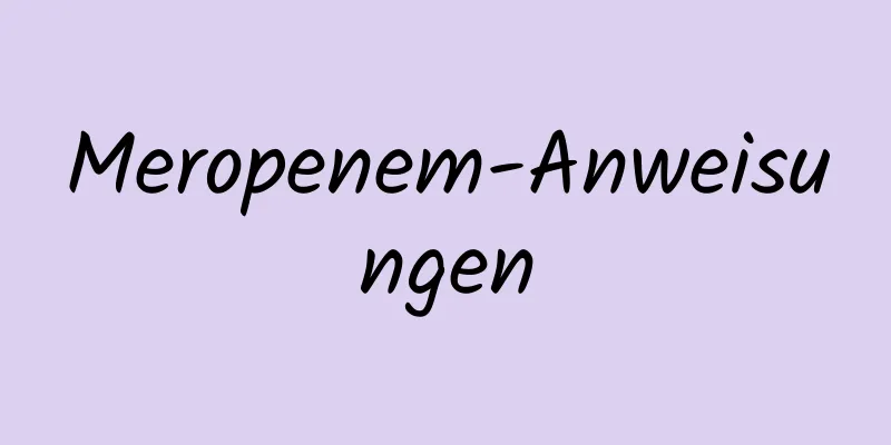 Meropenem-Anweisungen