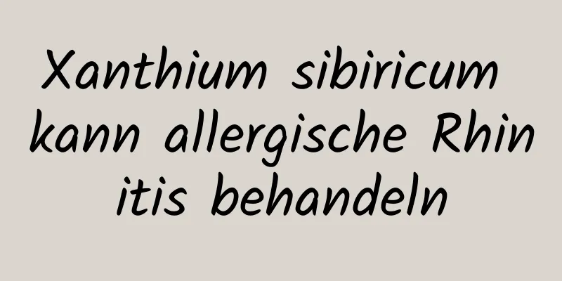 Xanthium sibiricum kann allergische Rhinitis behandeln