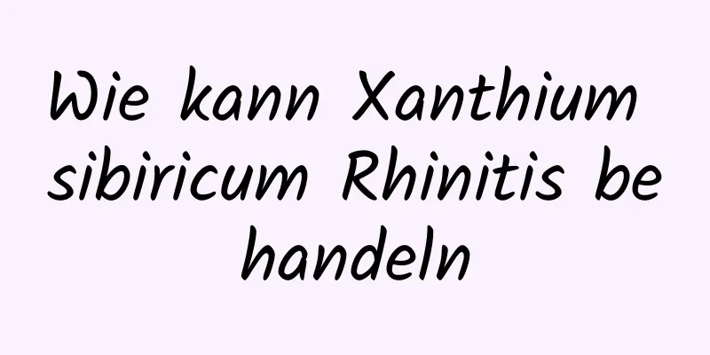 Wie kann Xanthium sibiricum Rhinitis behandeln