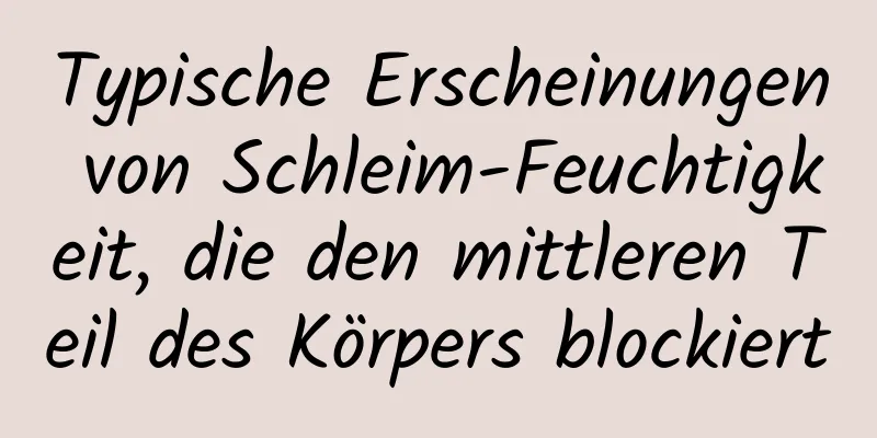 Typische Erscheinungen von Schleim-Feuchtigkeit, die den mittleren Teil des Körpers blockiert