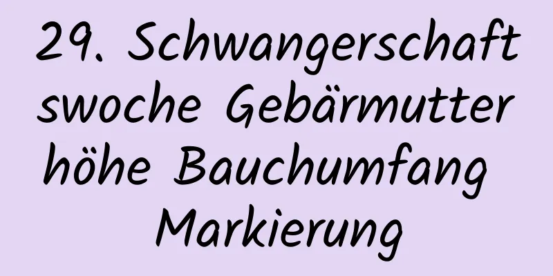 29. Schwangerschaftswoche Gebärmutterhöhe Bauchumfang Markierung