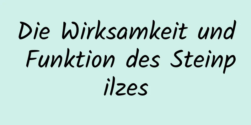 Die Wirksamkeit und Funktion des Steinpilzes