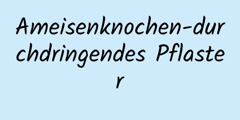 Ameisenknochen-durchdringendes Pflaster