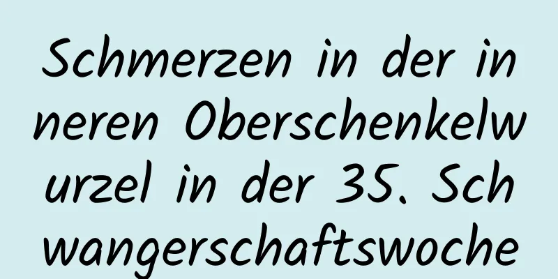 Schmerzen in der inneren Oberschenkelwurzel in der 35. Schwangerschaftswoche