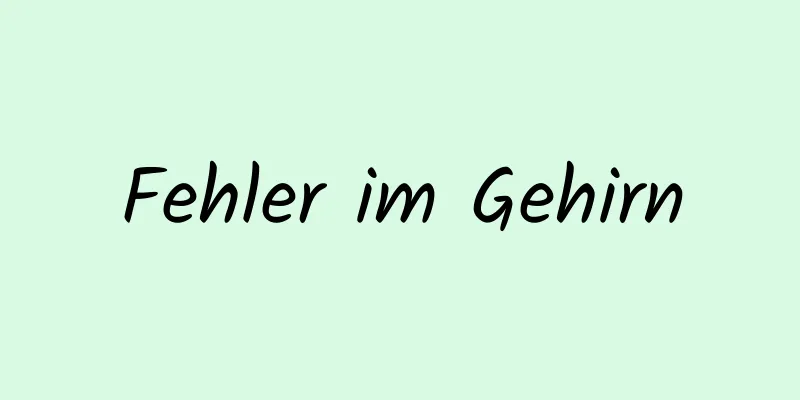 Fehler im Gehirn