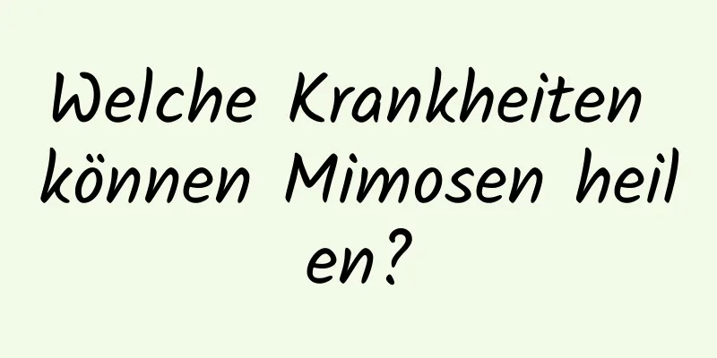 Welche Krankheiten können Mimosen heilen?