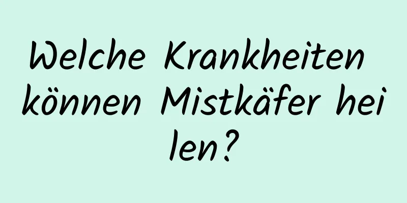 Welche Krankheiten können Mistkäfer heilen?