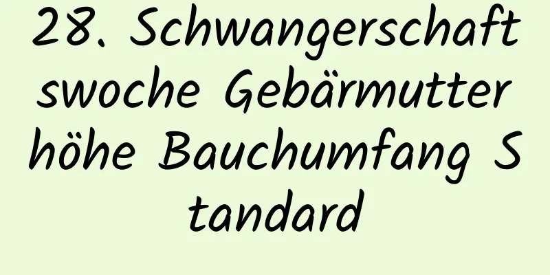 28. Schwangerschaftswoche Gebärmutterhöhe Bauchumfang Standard