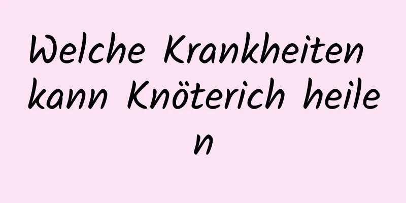 Welche Krankheiten kann Knöterich heilen