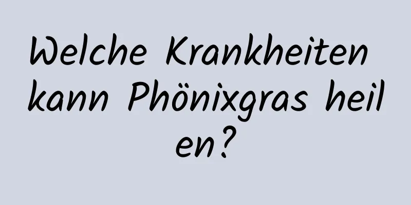 Welche Krankheiten kann Phönixgras heilen?