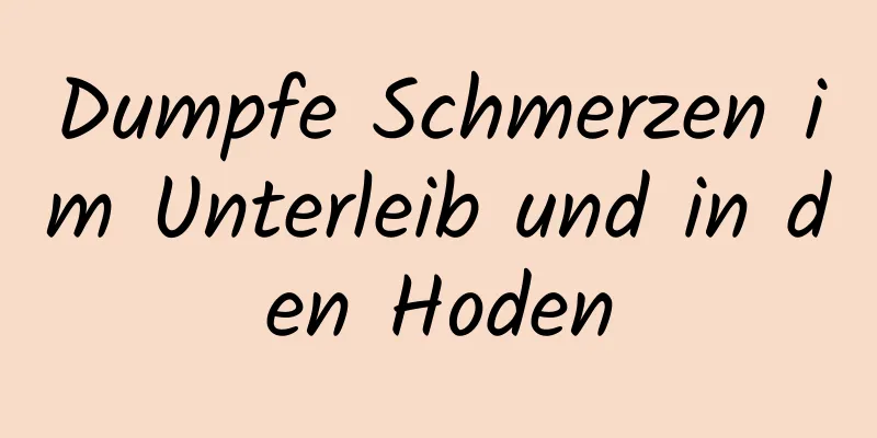 Dumpfe Schmerzen im Unterleib und in den Hoden