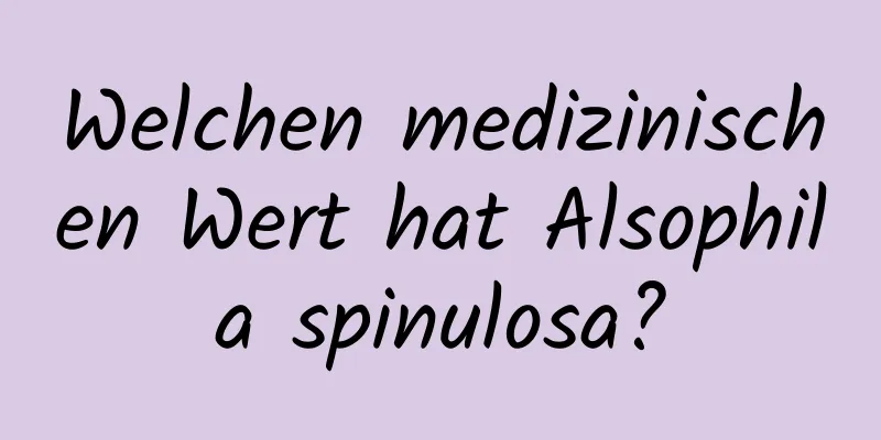 Welchen medizinischen Wert hat Alsophila spinulosa?