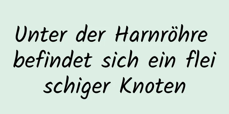 Unter der Harnröhre befindet sich ein fleischiger Knoten