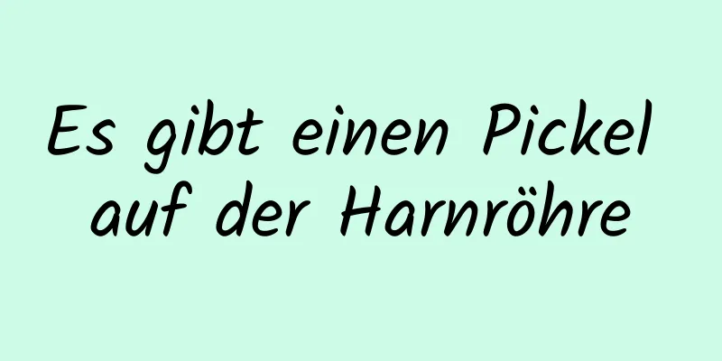 Es gibt einen Pickel auf der Harnröhre