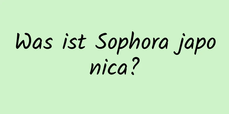 Was ist Sophora japonica?