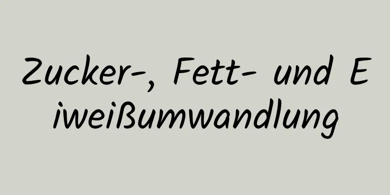 Zucker-, Fett- und Eiweißumwandlung