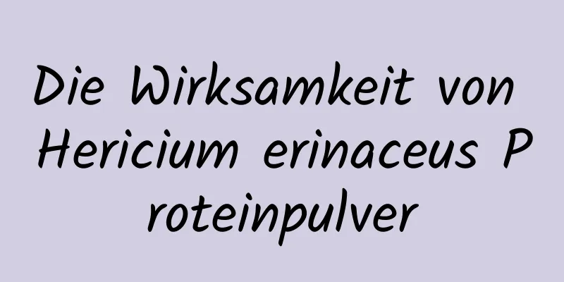 Die Wirksamkeit von Hericium erinaceus Proteinpulver