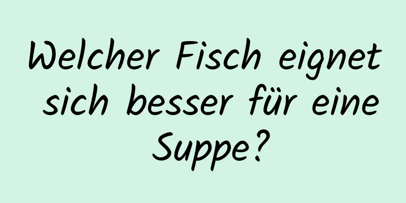 Welcher Fisch eignet sich besser für eine Suppe?