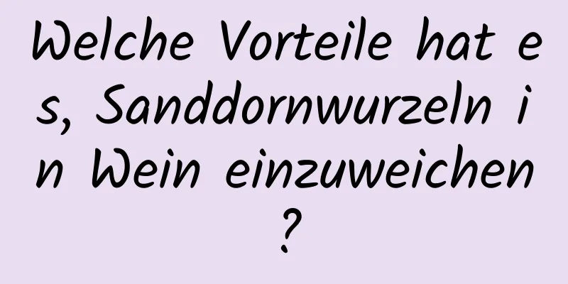 Welche Vorteile hat es, Sanddornwurzeln in Wein einzuweichen?