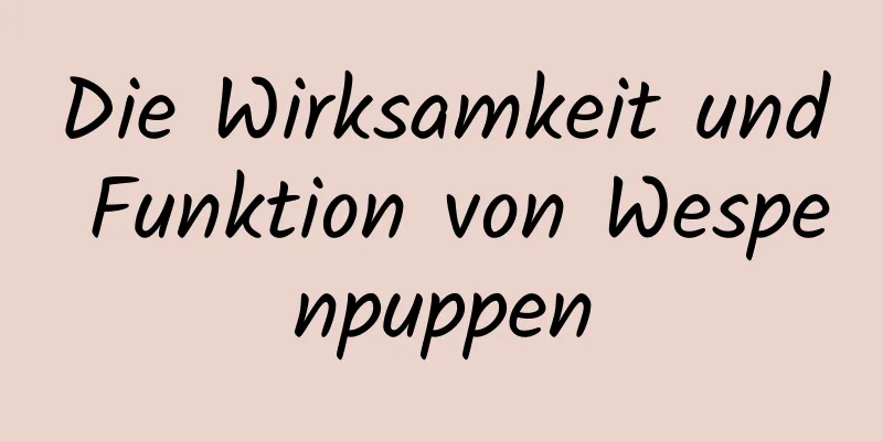 Die Wirksamkeit und Funktion von Wespenpuppen