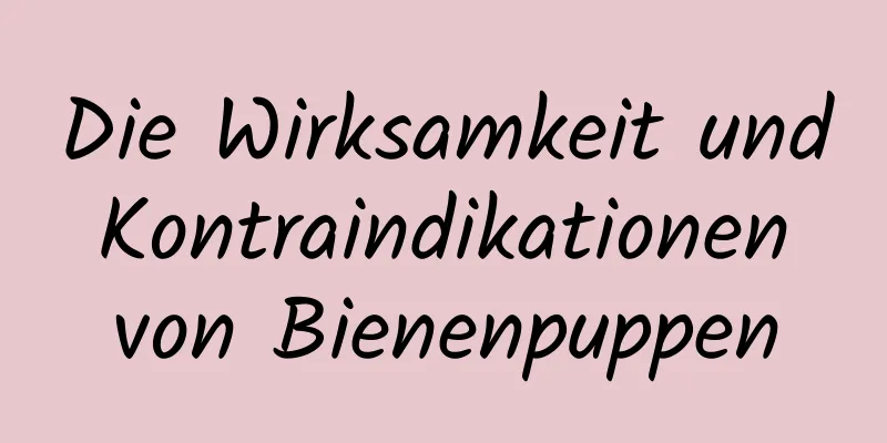 Die Wirksamkeit und Kontraindikationen von Bienenpuppen