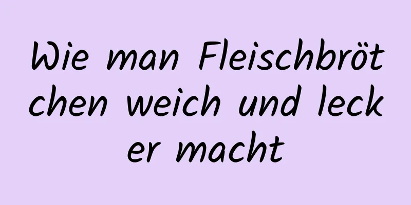 Wie man Fleischbrötchen weich und lecker macht