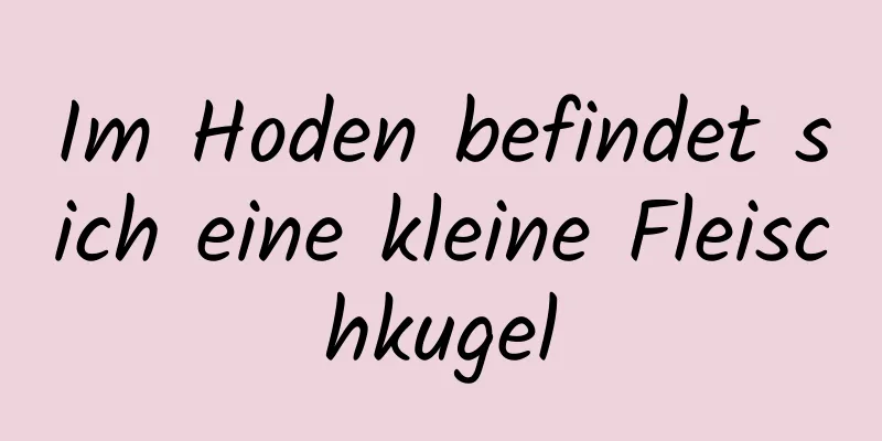 Im Hoden befindet sich eine kleine Fleischkugel