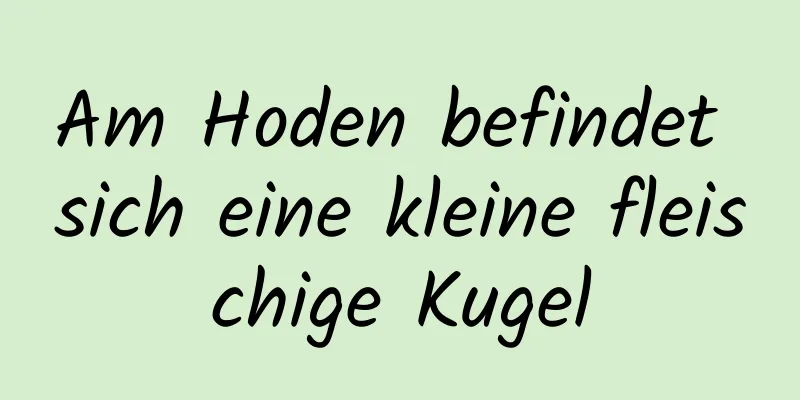 Am Hoden befindet sich eine kleine fleischige Kugel