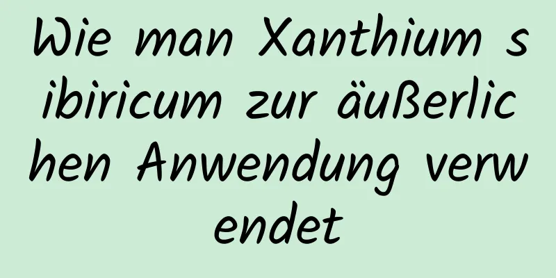 Wie man Xanthium sibiricum zur äußerlichen Anwendung verwendet