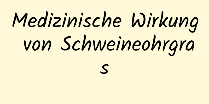 Medizinische Wirkung von Schweineohrgras