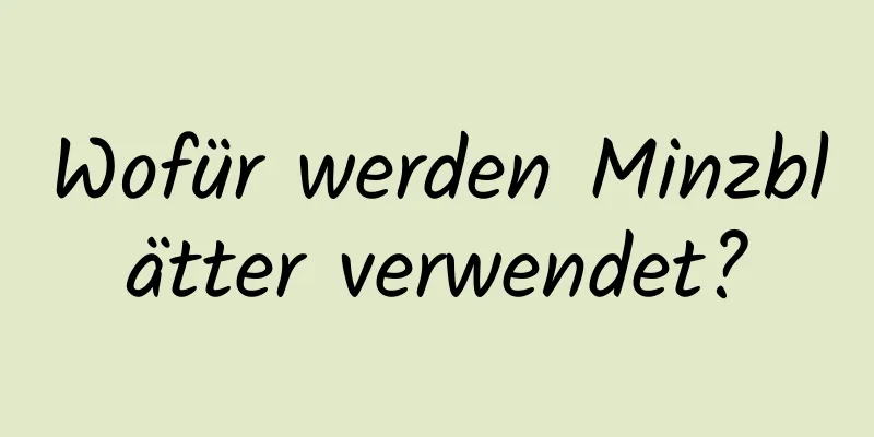 Wofür werden Minzblätter verwendet?