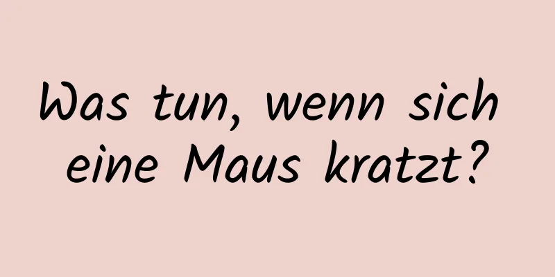 Was tun, wenn sich eine Maus kratzt?