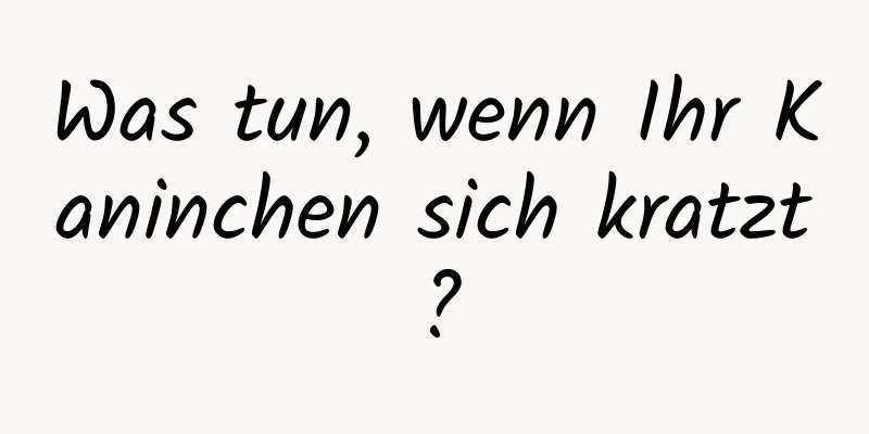 Was tun, wenn Ihr Kaninchen sich kratzt?