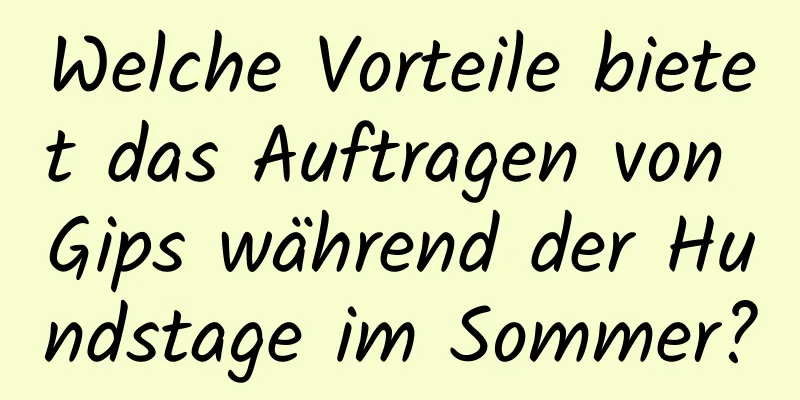 Welche Vorteile bietet das Auftragen von Gips während der Hundstage im Sommer?