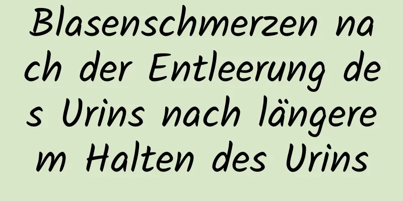 Blasenschmerzen nach der Entleerung des Urins nach längerem Halten des Urins