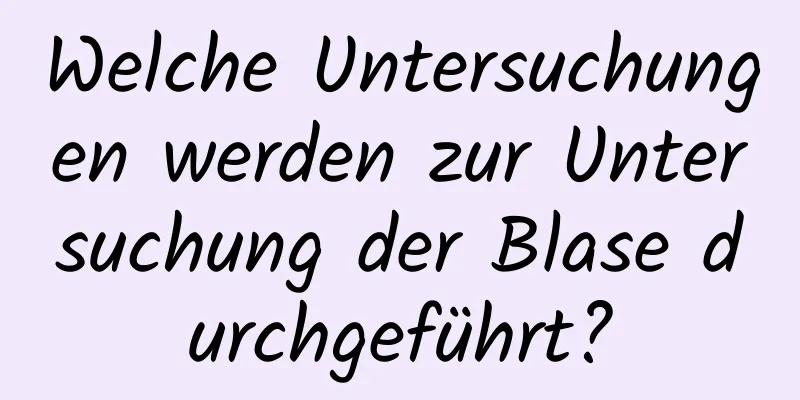 Welche Untersuchungen werden zur Untersuchung der Blase durchgeführt?