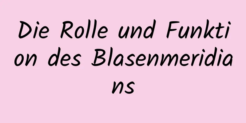 Die Rolle und Funktion des Blasenmeridians