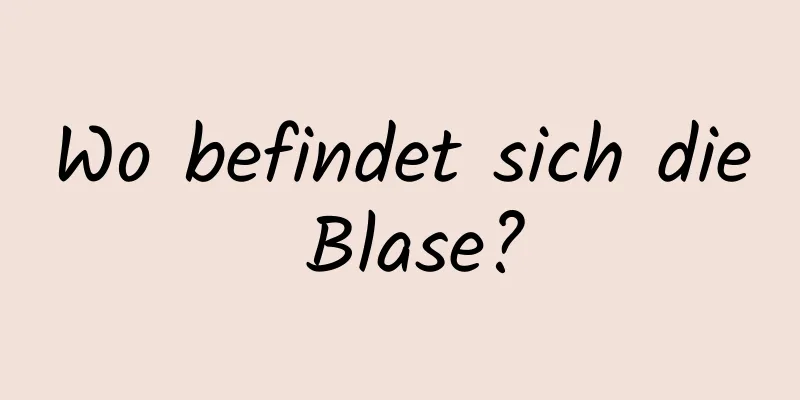 Wo befindet sich die Blase?